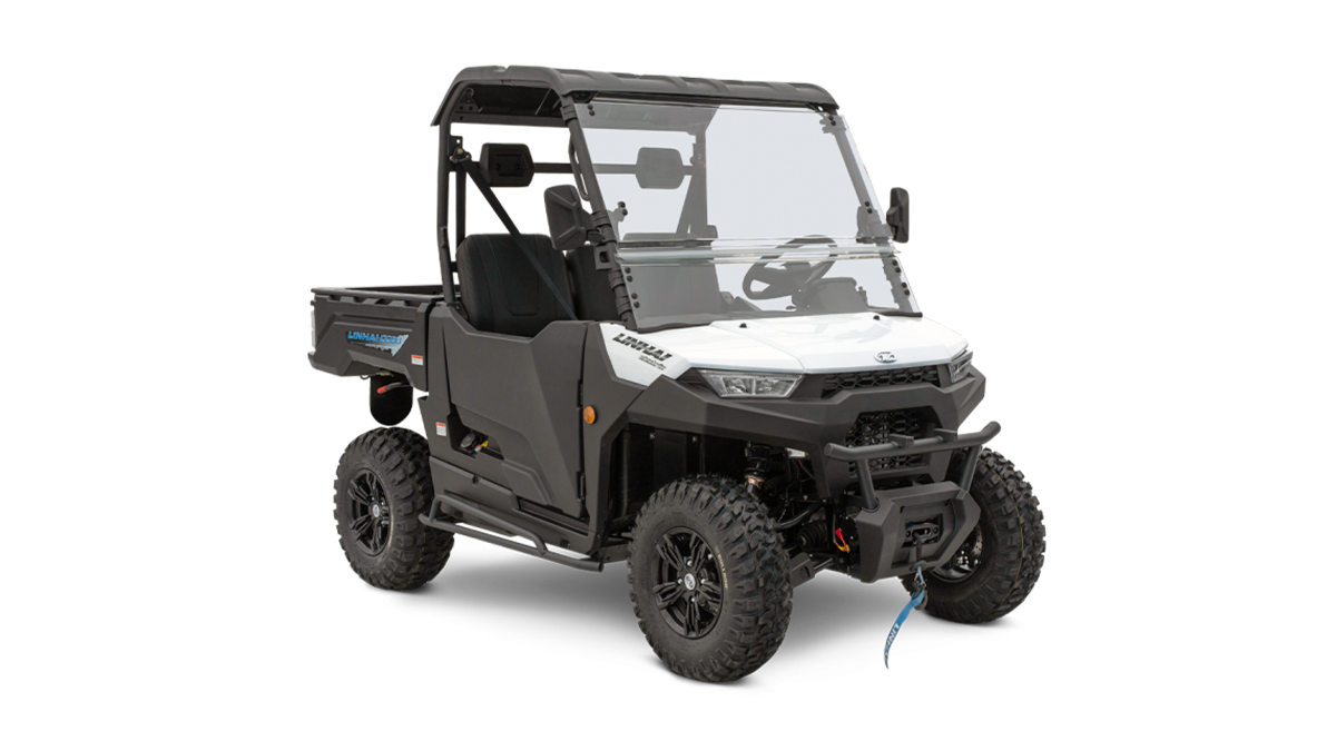 Linhai UTV LH-100DU Electric